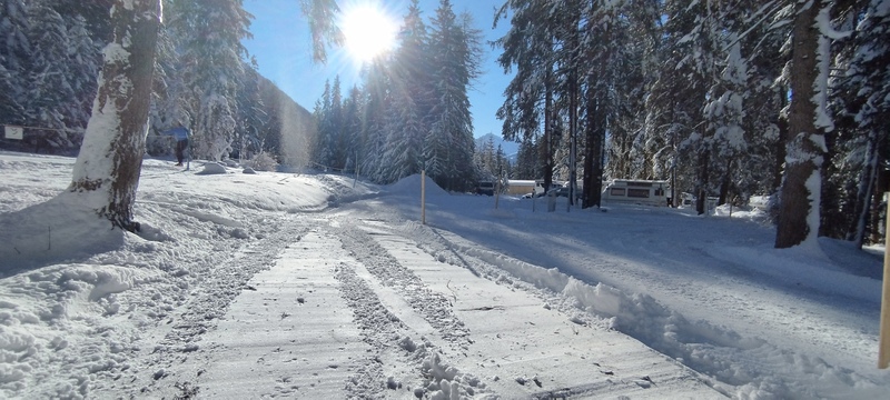 Waldplatz gross