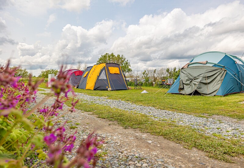 Zeltplatz Kat. 4 (PKW)