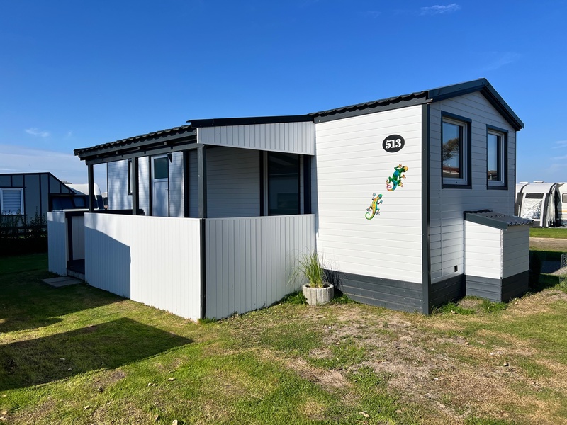 MMH 513 "Salamander 2"